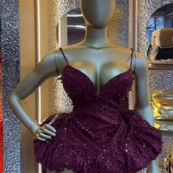 Scarlett Shine Dress